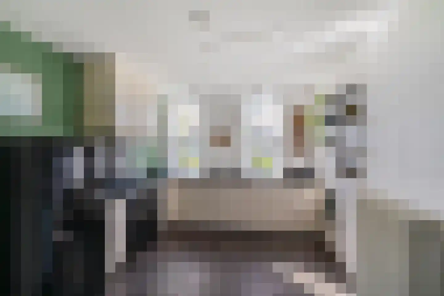 Kromme Elleboog 3 Sauwerd foto 3