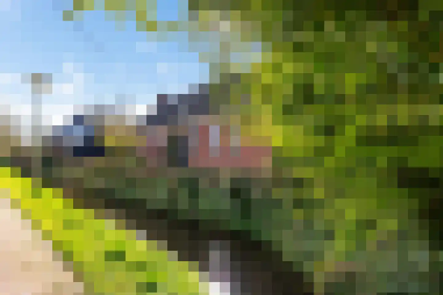 Kromme Elleboog 3 Sauwerd thumbnail 57