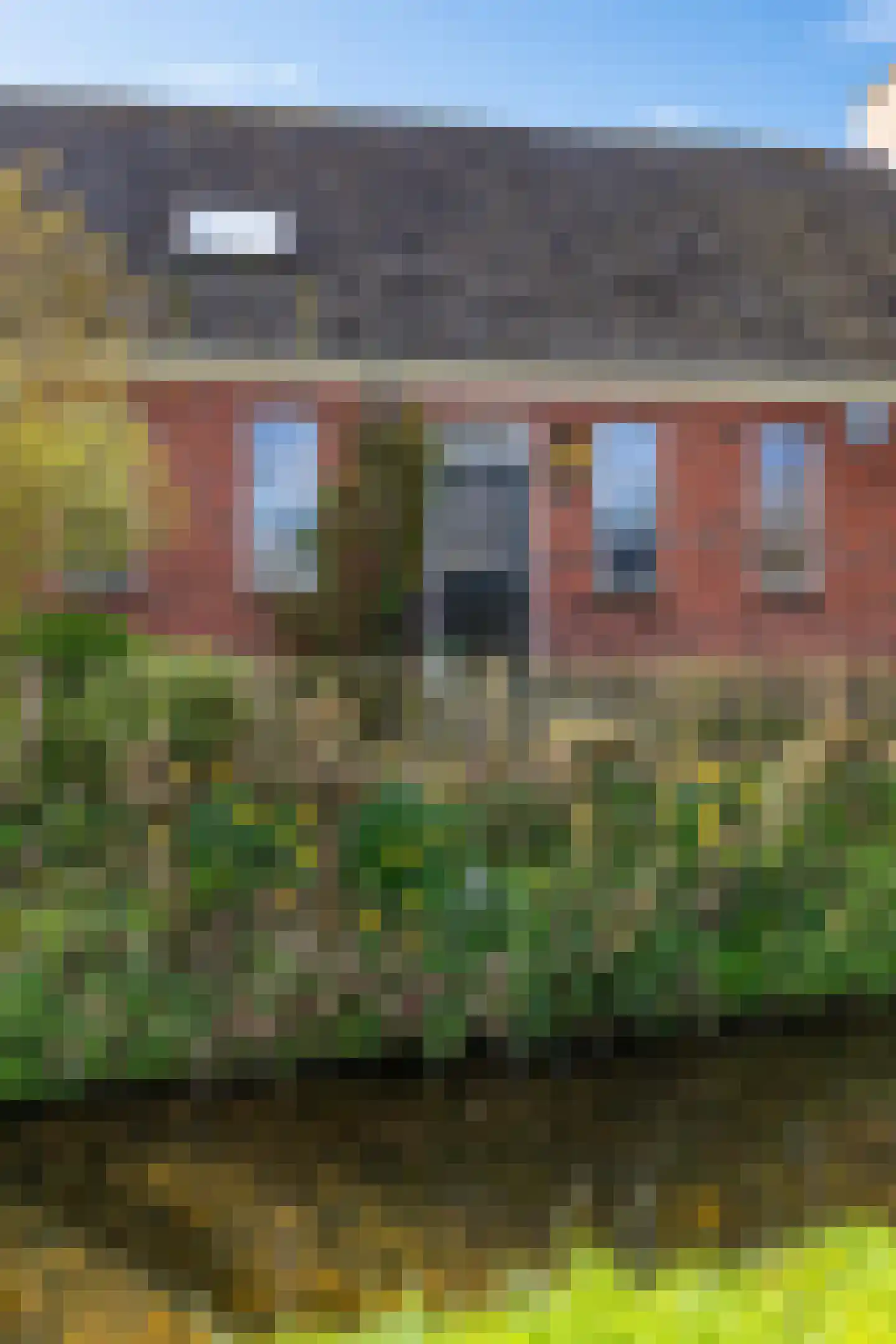 Kromme Elleboog 3 Sauwerd thumbnail 6