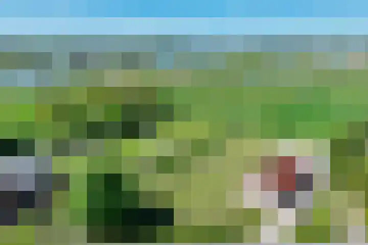 Kromme-elleboog 30 Finsterwolde thumbnail 4