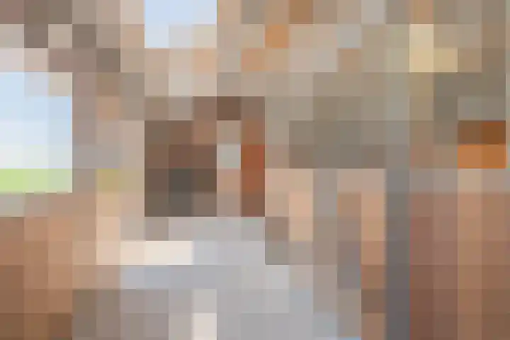 Kromme-elleboog 30 Finsterwolde thumbnail 47