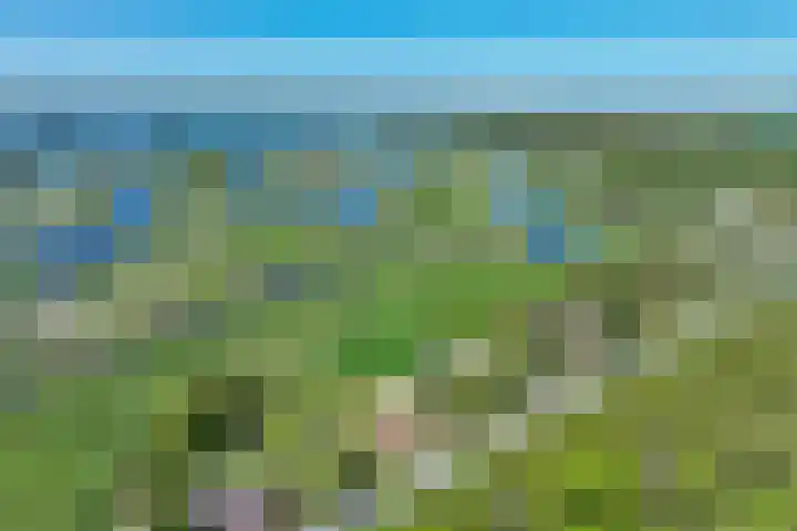 Kromme-elleboog 30 Finsterwolde thumbnail 5
