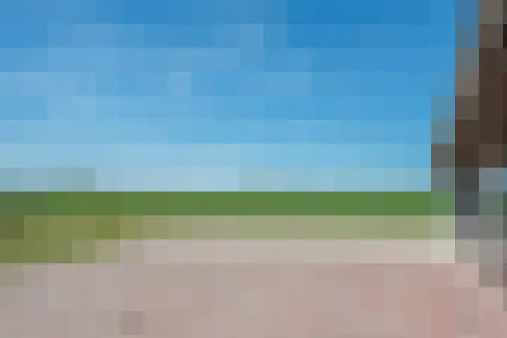 Kromme-elleboog 30 Finsterwolde thumbnail 54