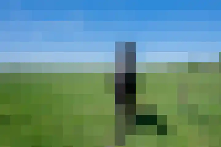 Kromme-elleboog 30 Finsterwolde thumbnail 55