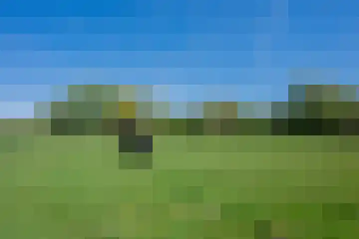 Kromme-elleboog 30 Finsterwolde thumbnail 57