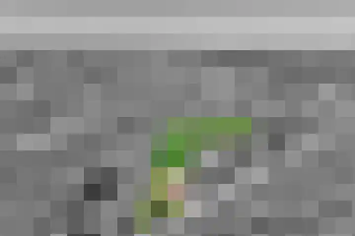 Kromme-elleboog 30 Finsterwolde thumbnail 6