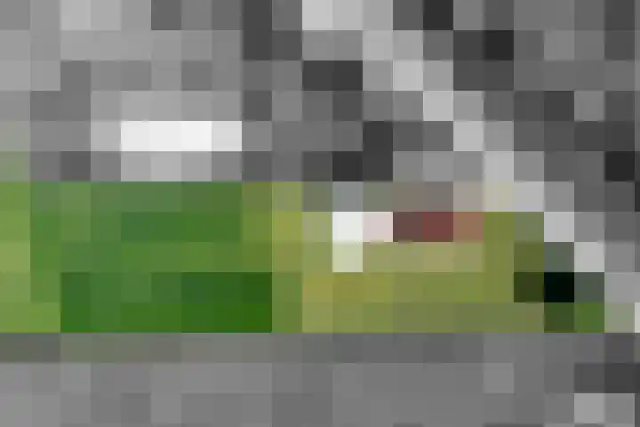 Kromme-elleboog 30 Finsterwolde thumbnail 8