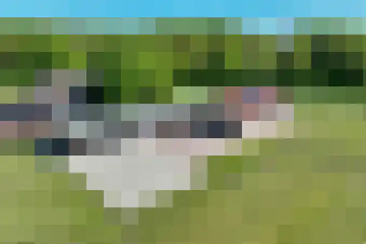 Kromme-elleboog 30 Finsterwolde thumbnail 9