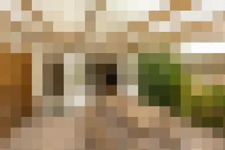 Kromme Elleboog 39 Haren Gn thumbnail 38
