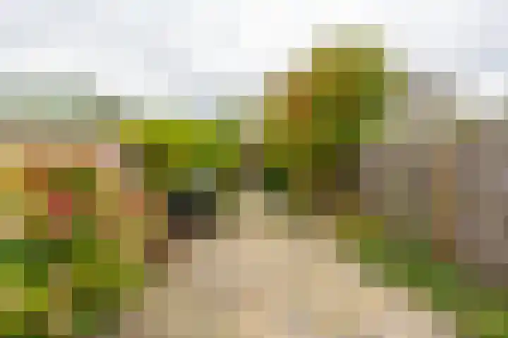 Kromme Elleboog 39 Haren Gn thumbnail 39