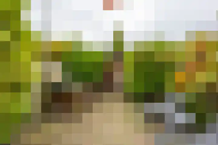 Kromme Elleboog 39 Haren Gn thumbnail 40