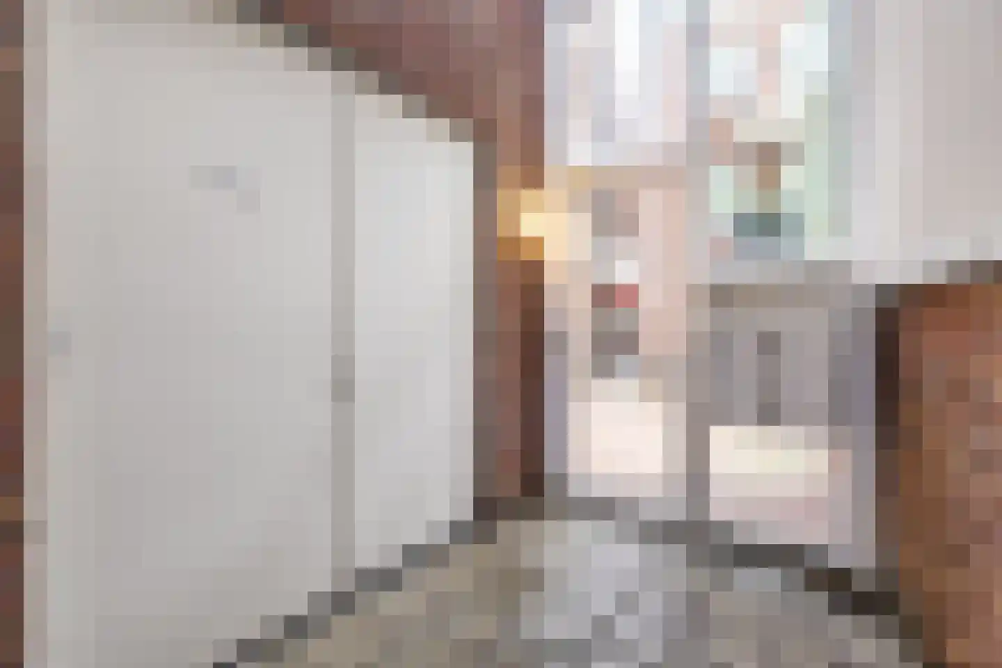 Kromme Elleboog 48 Meppel thumbnail 33