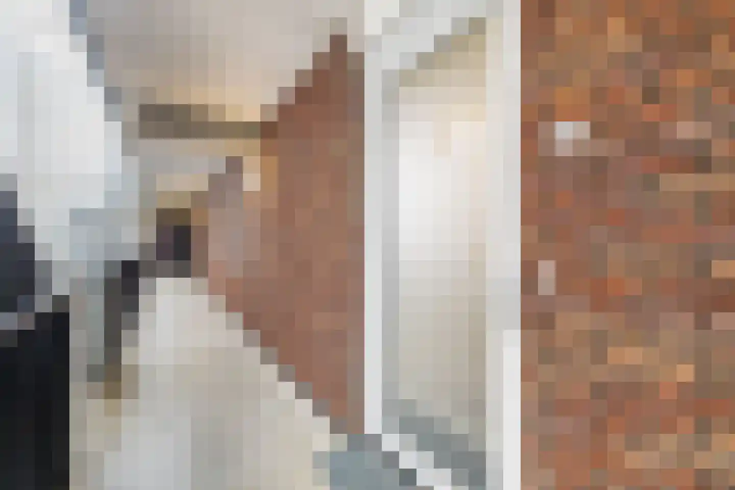 Kromme Elleboog 48 Meppel thumbnail 36