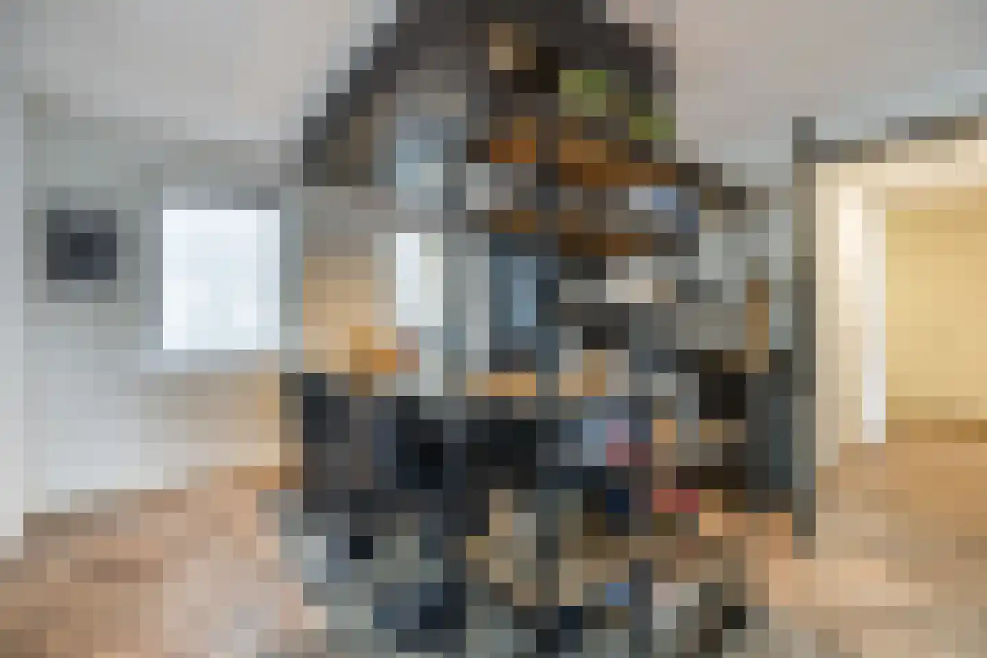 Kromme Elleboog 48 Meppel thumbnail 6