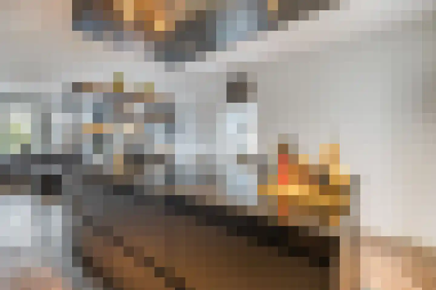 Kromme Elleboog 48 Meppel thumbnail 8