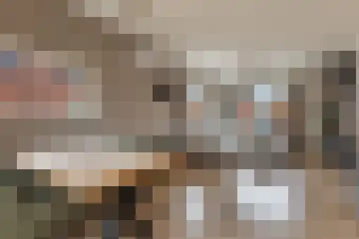 Kromme Elleboog 5 Muntendam thumbnail 13