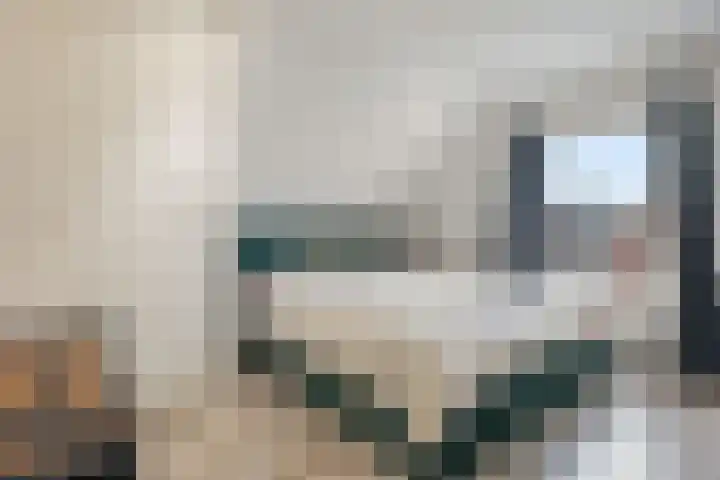 Kromme Elleboog 5 Muntendam thumbnail 17
