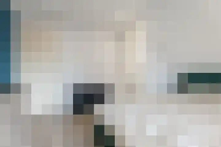 Kromme Elleboog 5 Muntendam thumbnail 18