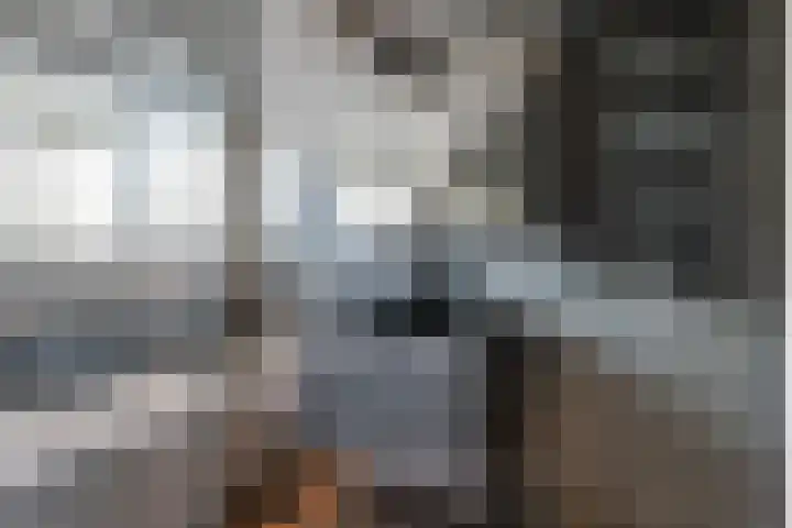 Kromme Elleboog 5 Muntendam thumbnail 22