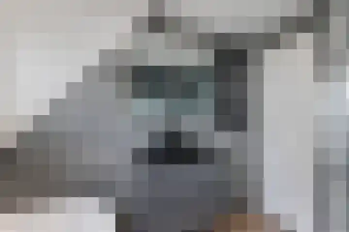 Kromme Elleboog 5 Muntendam thumbnail 23