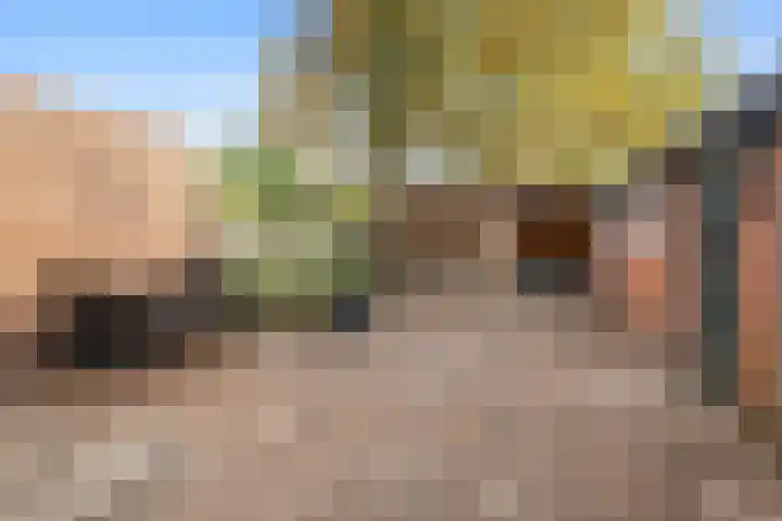 Kromme Elleboog 5 Muntendam thumbnail 25