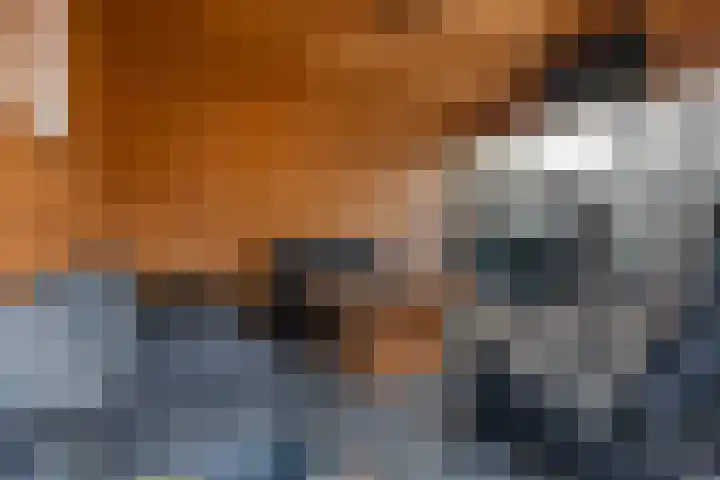 Kromme Elleboog 5 Muntendam thumbnail 29