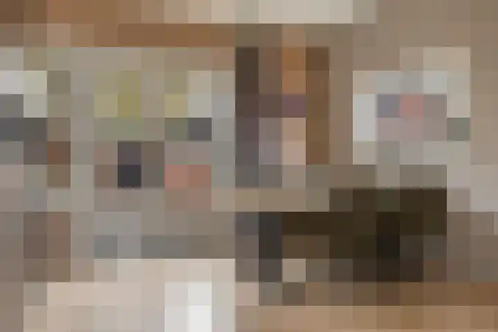 Kromme Elleboog 5 Muntendam foto 3