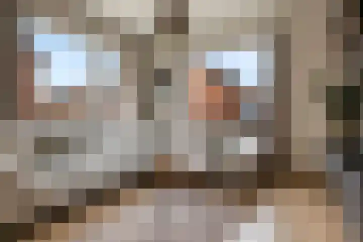 Kromme Elleboog 5 Muntendam thumbnail 8