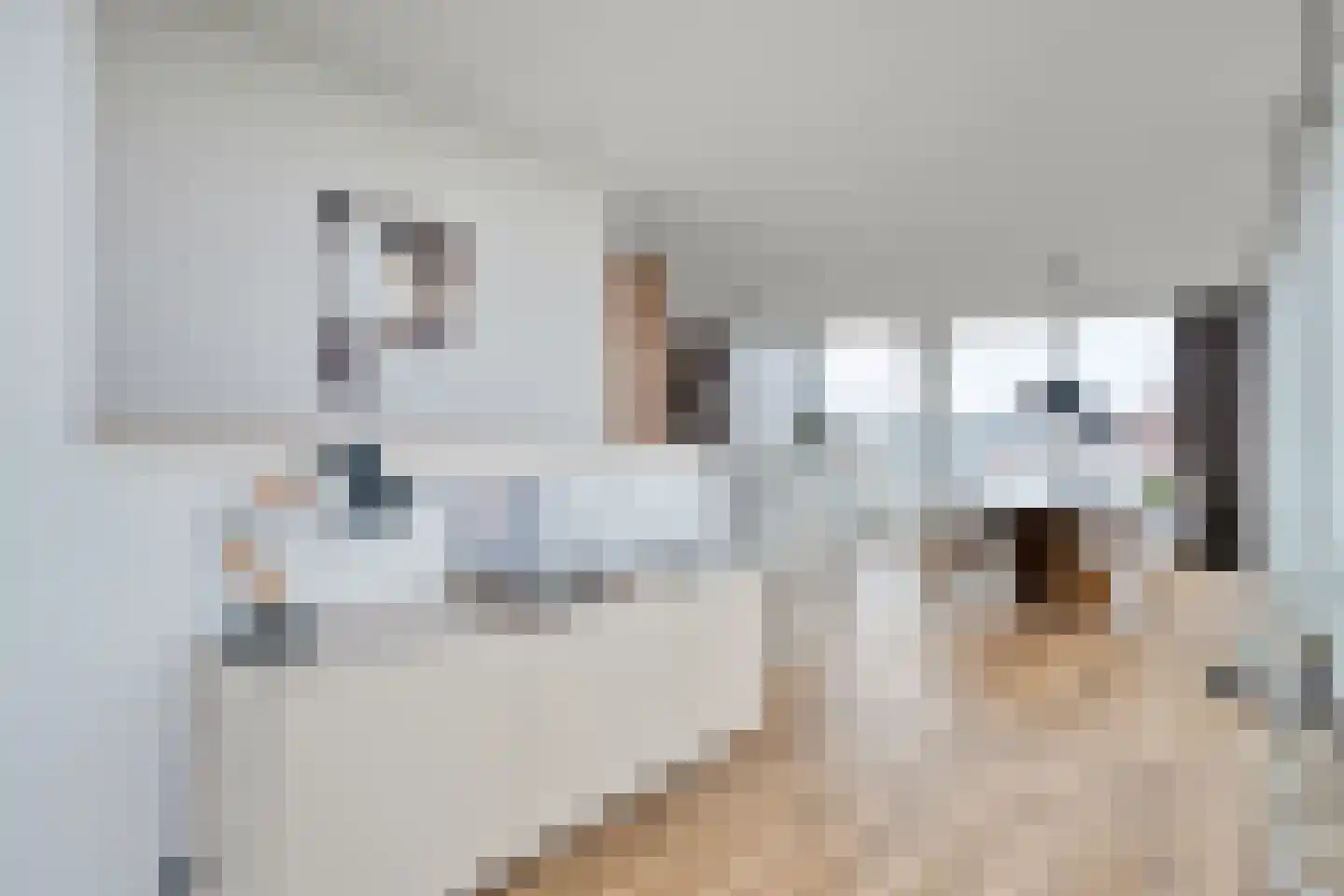 Kromme Elleboog 59 D Meppel thumbnail 43