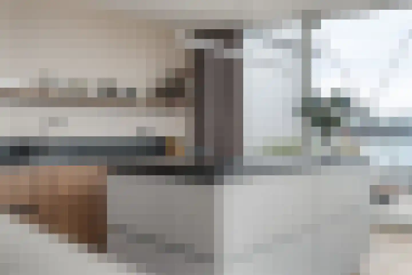 Kromme Elleboog 59 D Meppel thumbnail 53