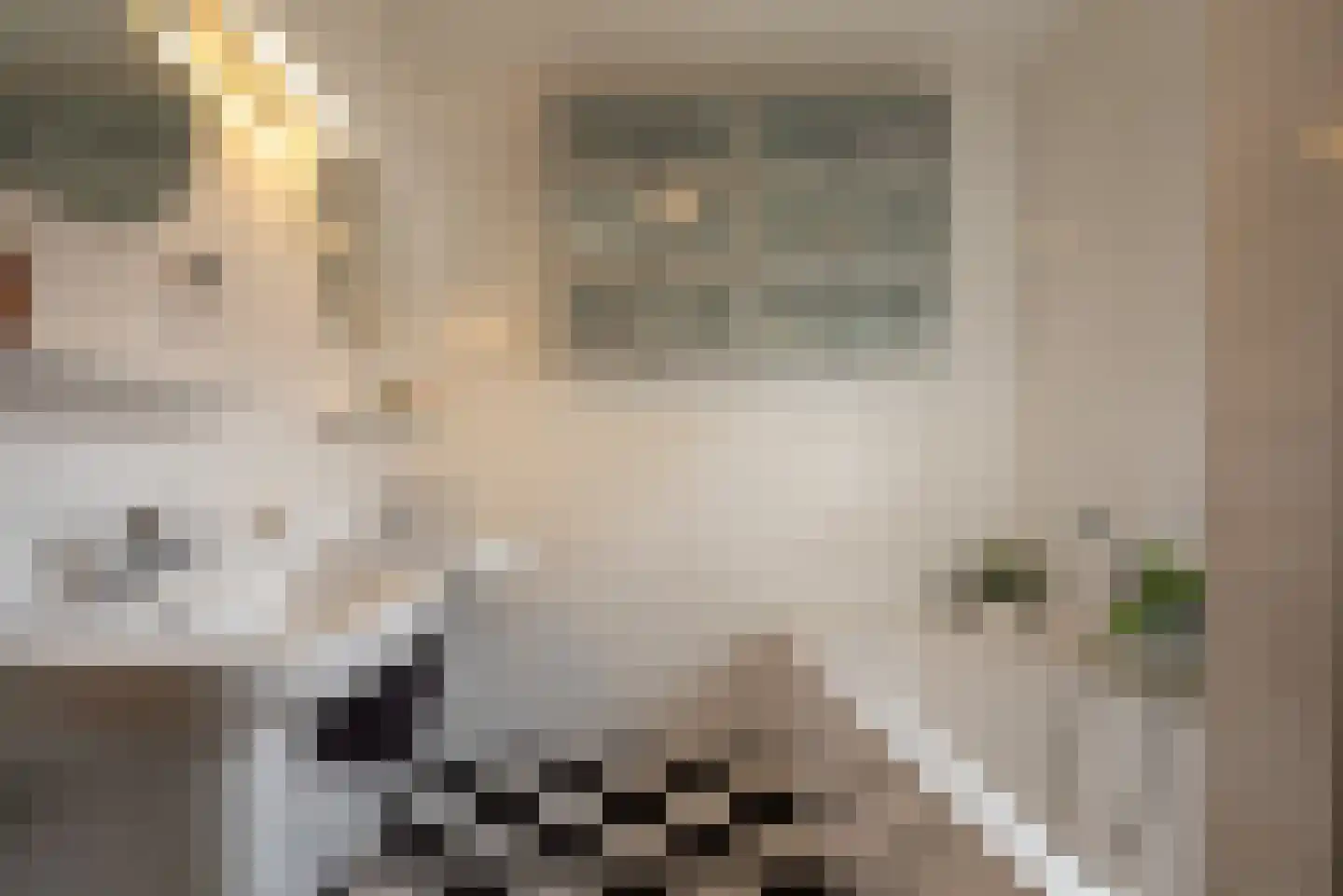 Kromme Elleboog 6 Haren Gn thumbnail 33