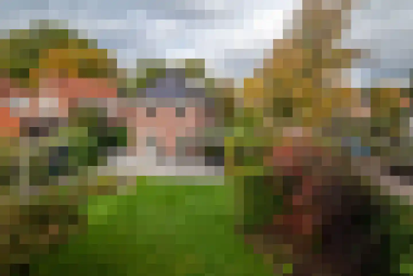 Kromme Elleboog 6 Haren Gn thumbnail 4
