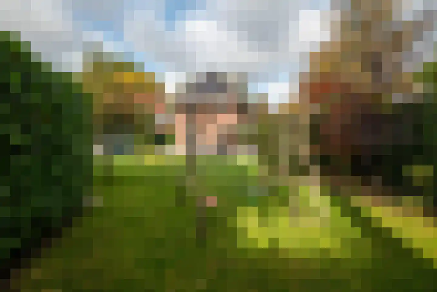 Kromme Elleboog 6 Haren Gn thumbnail 42
