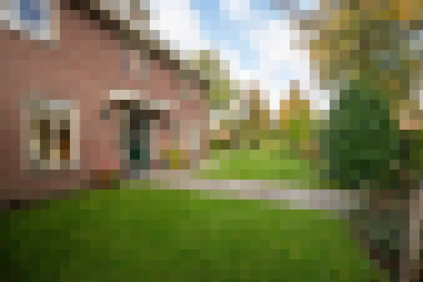Kromme Elleboog 6 Haren Gn thumbnail 8