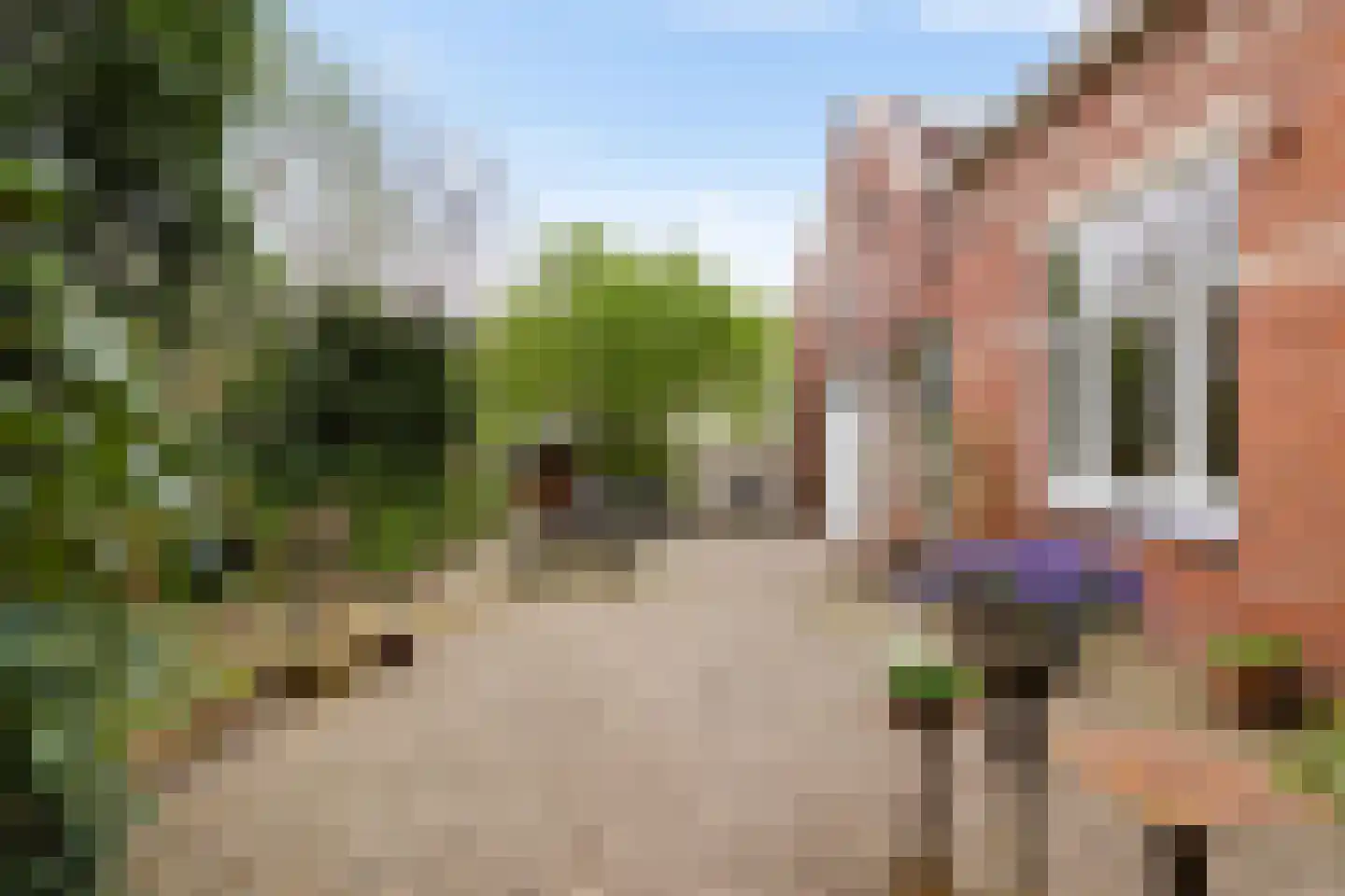 Kromme Elleboog 7 Haren Gn thumbnail 43