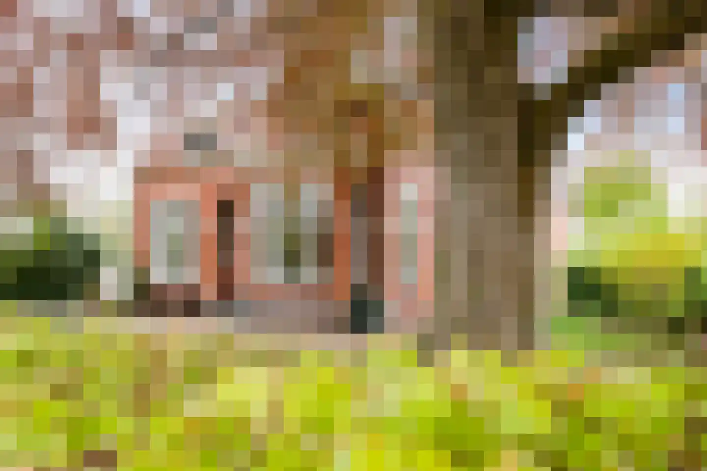 Kromme Elleboog 7 Haren Gn thumbnail 44