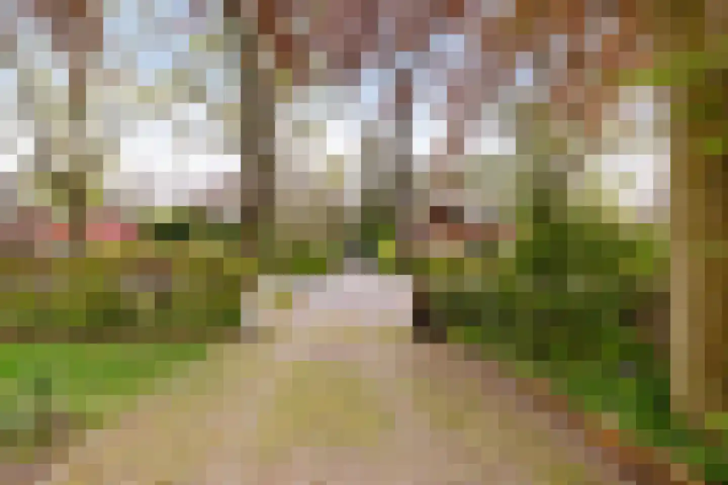 Kromme Elleboog 7 Haren Gn thumbnail 45