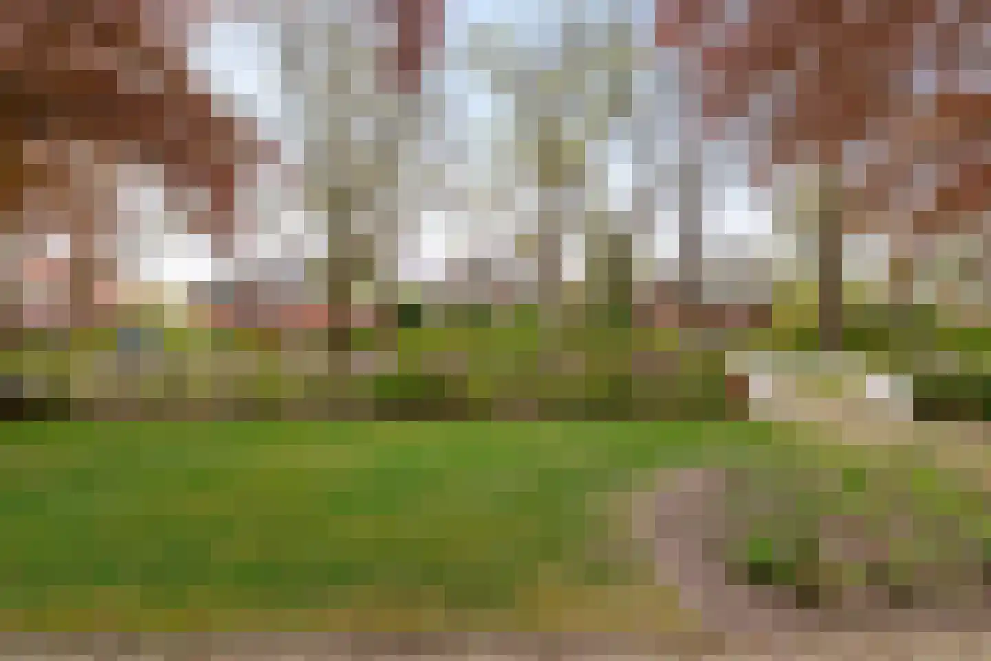 Kromme Elleboog 7 Haren Gn thumbnail 47