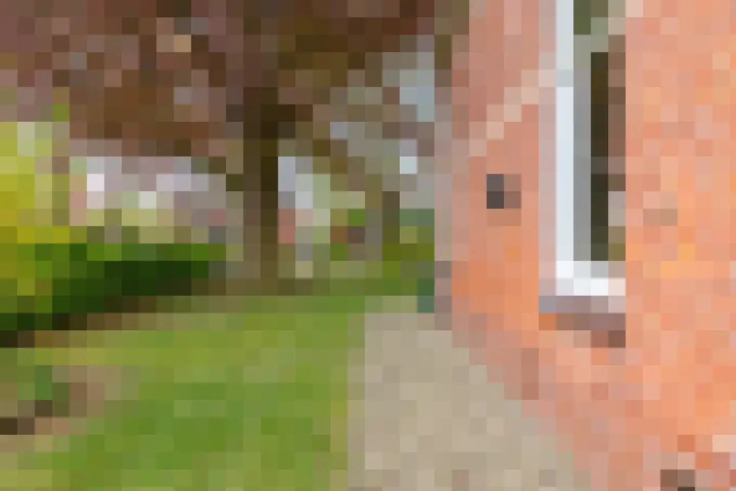 Kromme Elleboog 7 Haren Gn thumbnail 48