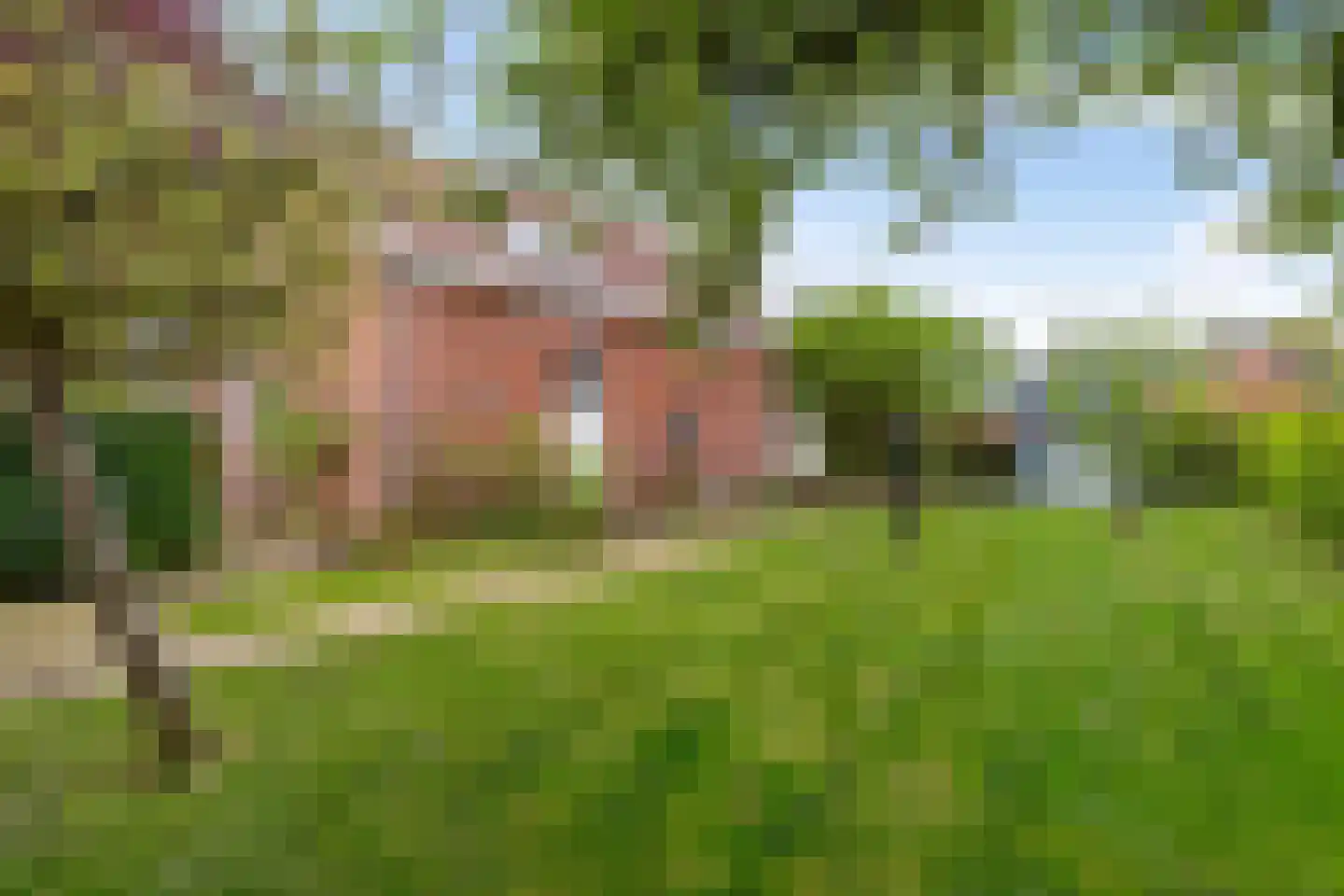Kromme Elleboog 7 Haren Gn thumbnail 50