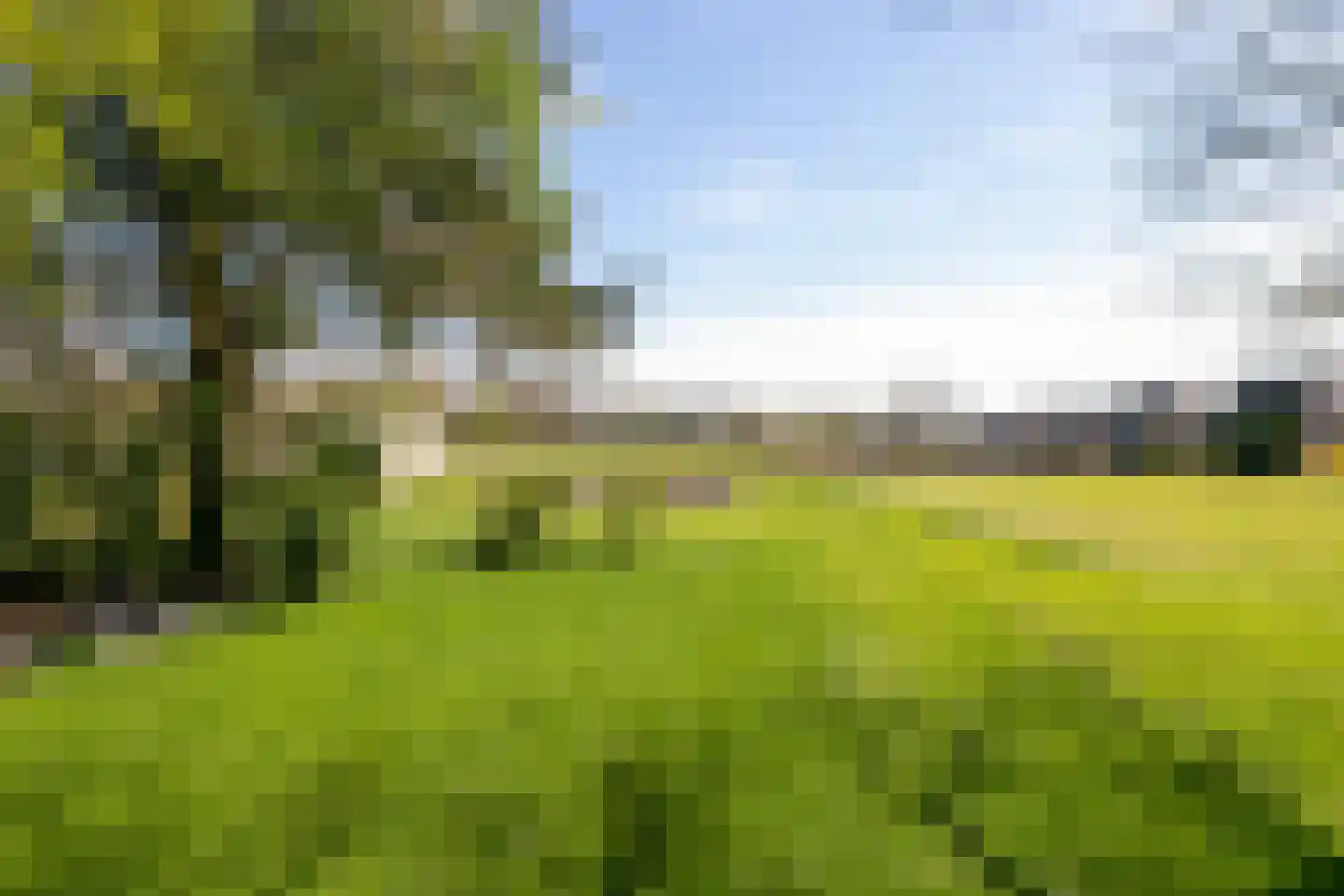Kromme Elleboog 9 Oostwold thumbnail 22
