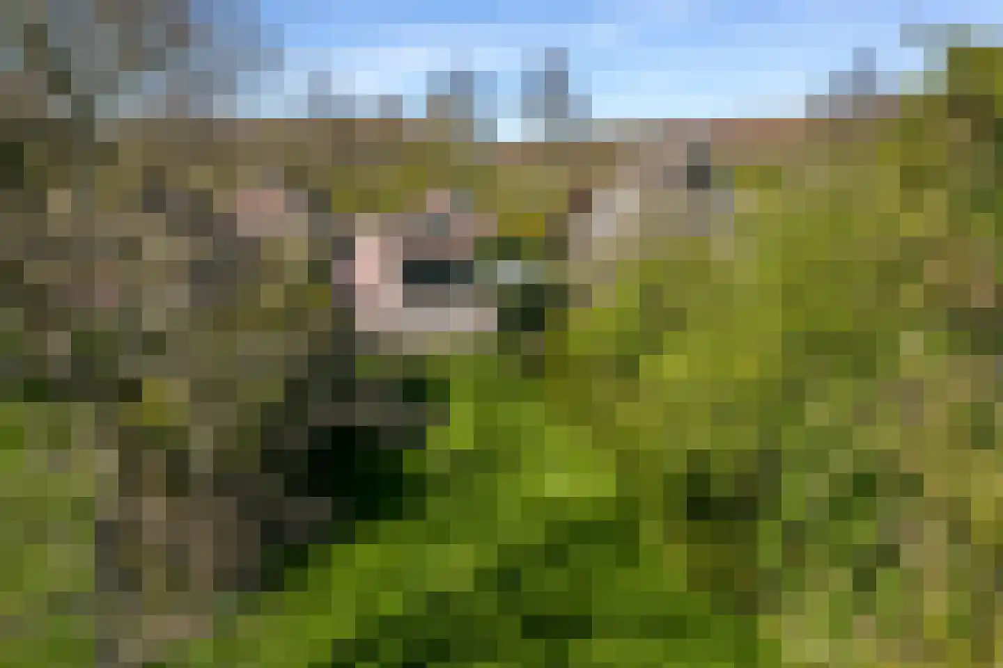 Kromme Elleboog 9 Oostwold thumbnail 4