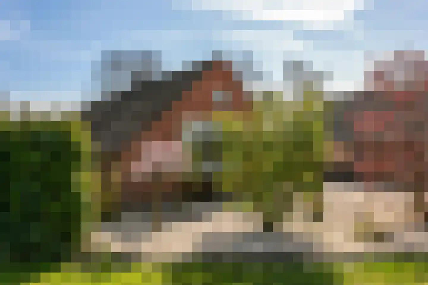 Kromme Elleboog 9 Oostwold thumbnail 5
