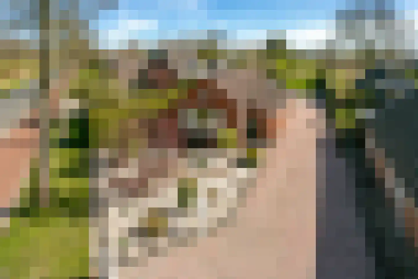 Kromme Elleboog 9 Oostwold thumbnail 6