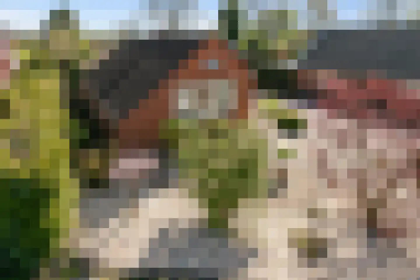 Kromme Elleboog 9 Oostwold thumbnail 7