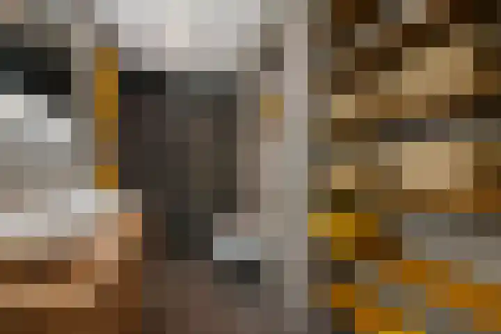 Kromme Elleboogsteeg 11 Amersfoort thumbnail 20