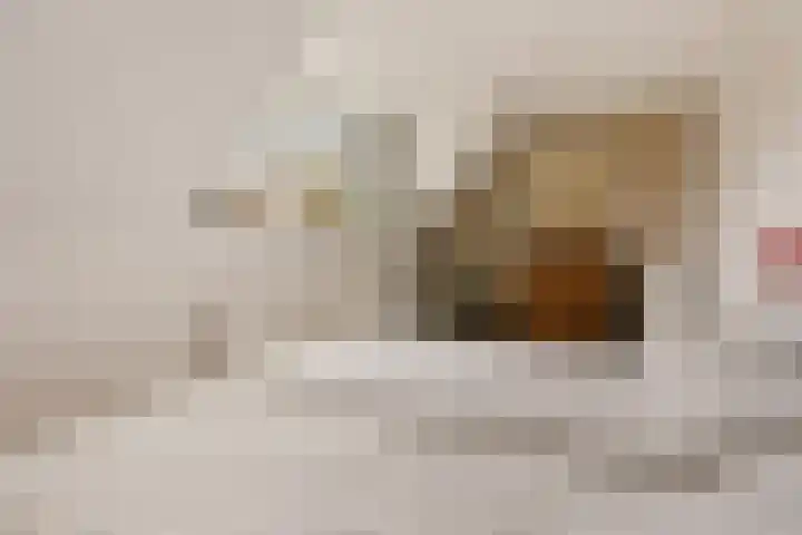 Kromme Elleboogsteeg 11 Amersfoort thumbnail 25