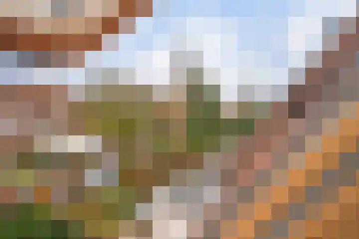 Kromme Elleboogsteeg 11 Amersfoort thumbnail 30