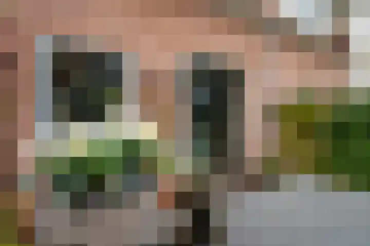 Kromme Elleboogsteeg 11 Amersfoort thumbnail 31