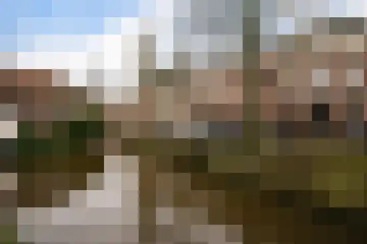 Kromme Elleboogsteeg 11 Amersfoort thumbnail 36
